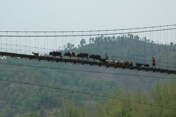 Мосты (наравне с дорогами) имеют огромное значение для Непала. И